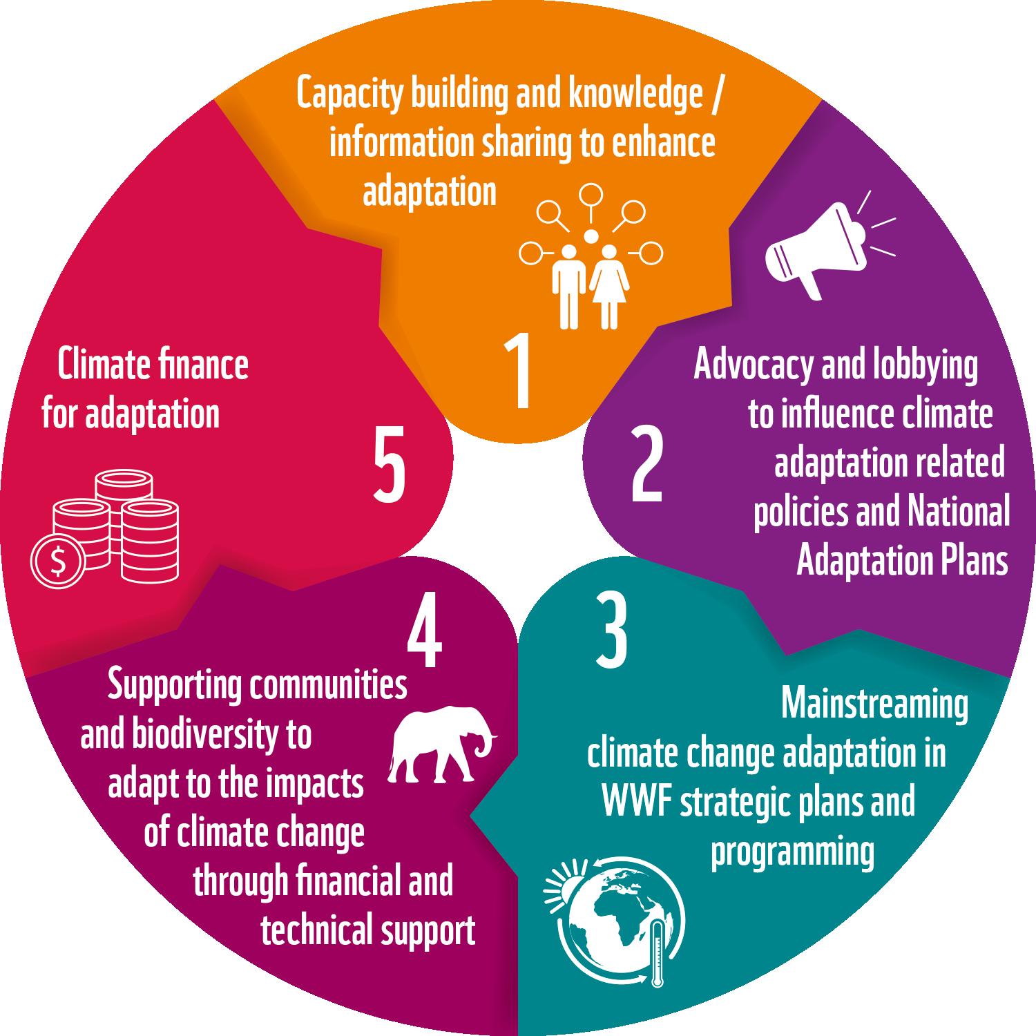 Africa <b>Adaptation</b> Hub | WWF wwfafrica