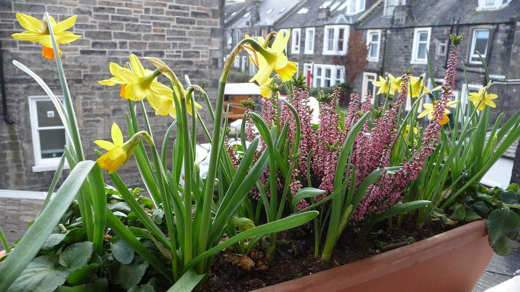 King Room,68697161:JPEG