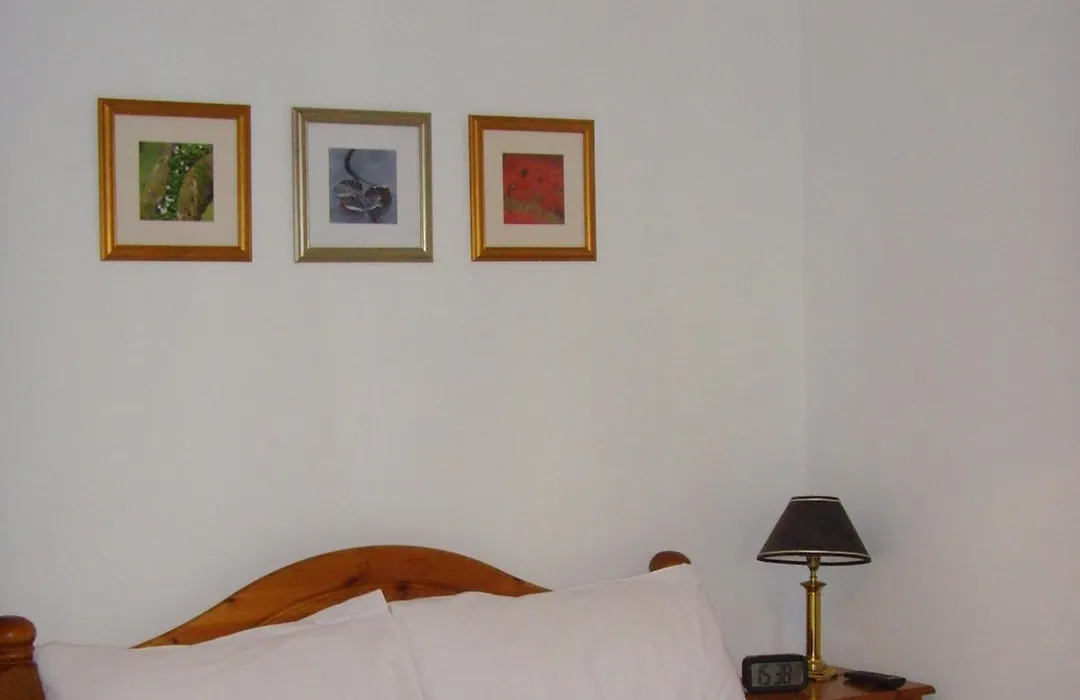 Twin Lions Hotel-1