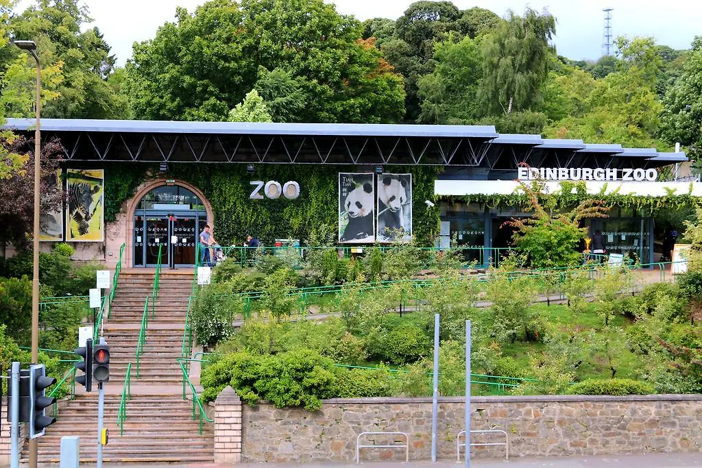 Dalmore Lodge Guest House-1